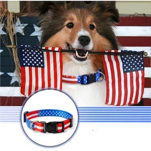 American Flag Dog Collar